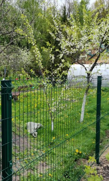 Фото забора из зеленых 3д панелей